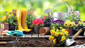 Prodotti e articoli per giardinaggio