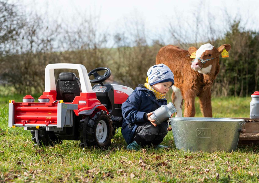 ROLLY Box Argento con 4 Bidoni Latte – Età: 3-10 anni