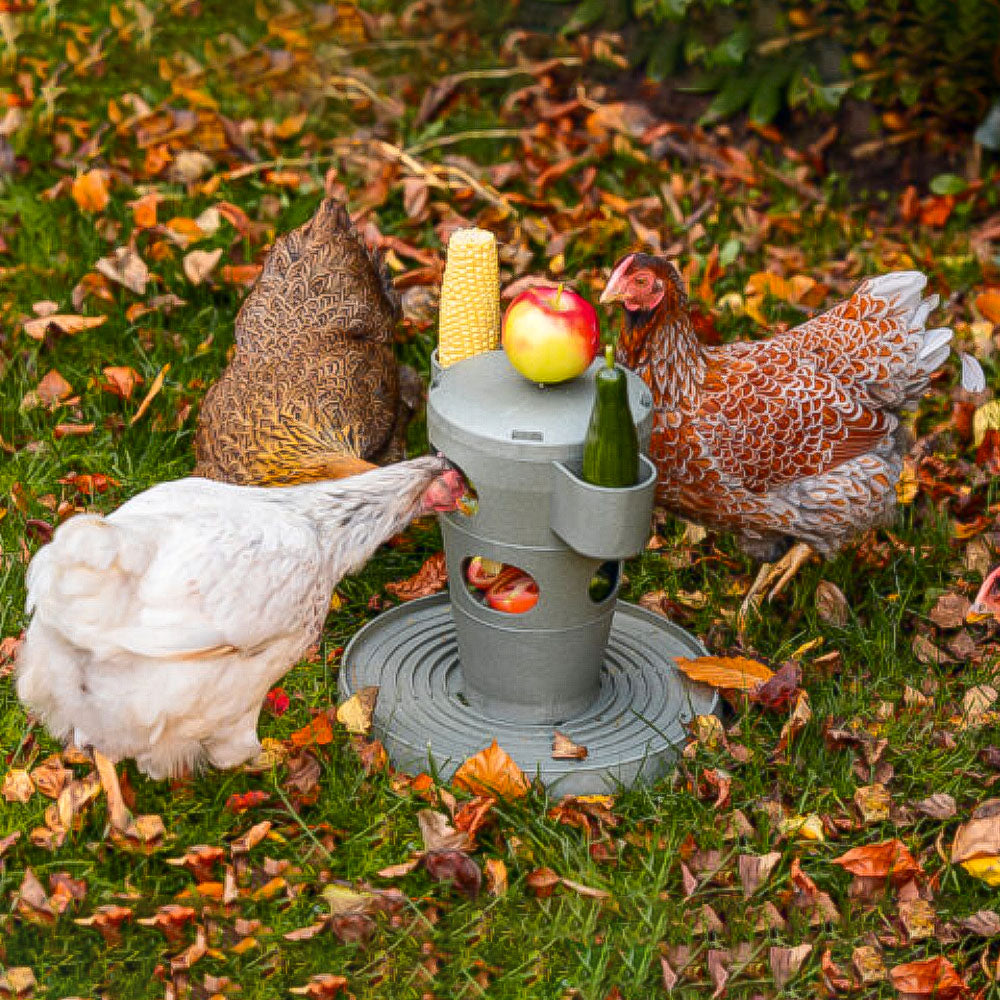 Snack per Pollame Ecologico / Tour Alimentare – Materiale 100% Riciclato