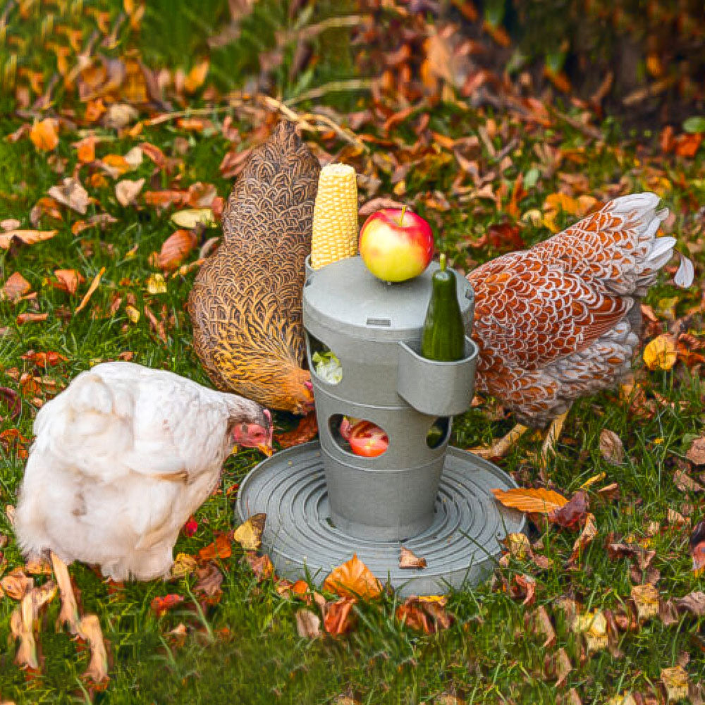 Snack per Pollame Ecologico / Tour Alimentare – Materiale 100% Riciclato