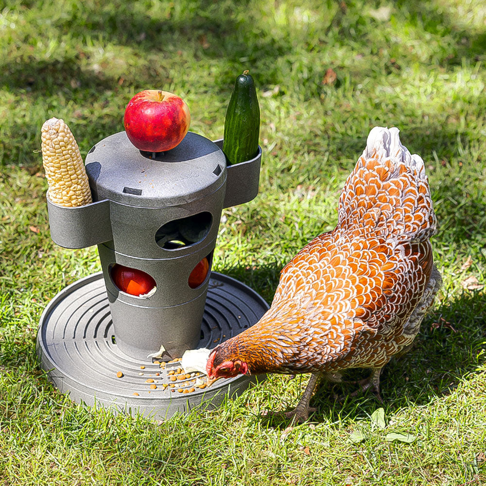 Snack per Pollame Ecologico / Tour Alimentare – Materiale 100% Riciclato