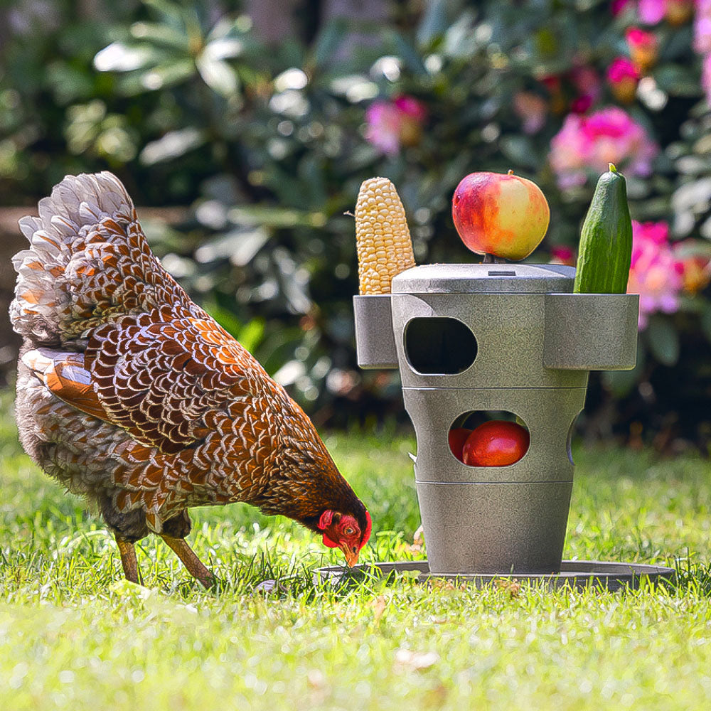 Snack per Pollame Ecologico / Tour Alimentare – Materiale 100% Riciclato