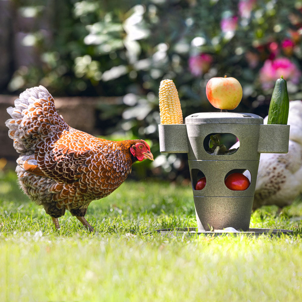 Snack per Pollame Ecologico / Tour Alimentare – Materiale 100% Riciclato