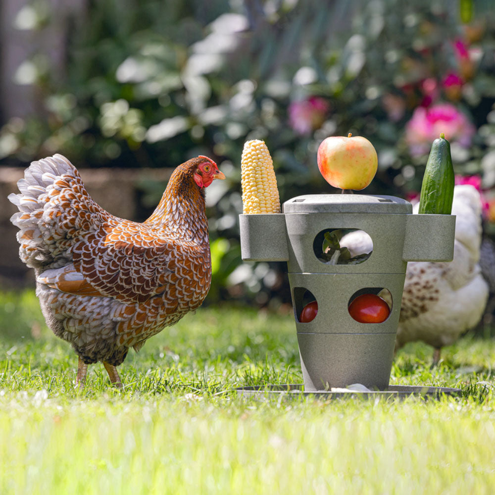 Snack per Pollame Ecologico / Tour Alimentare – Materiale 100% Riciclato