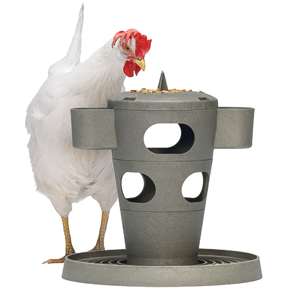 Snack per Pollame Ecologico / Tour Alimentare – Materiale 100% Riciclato