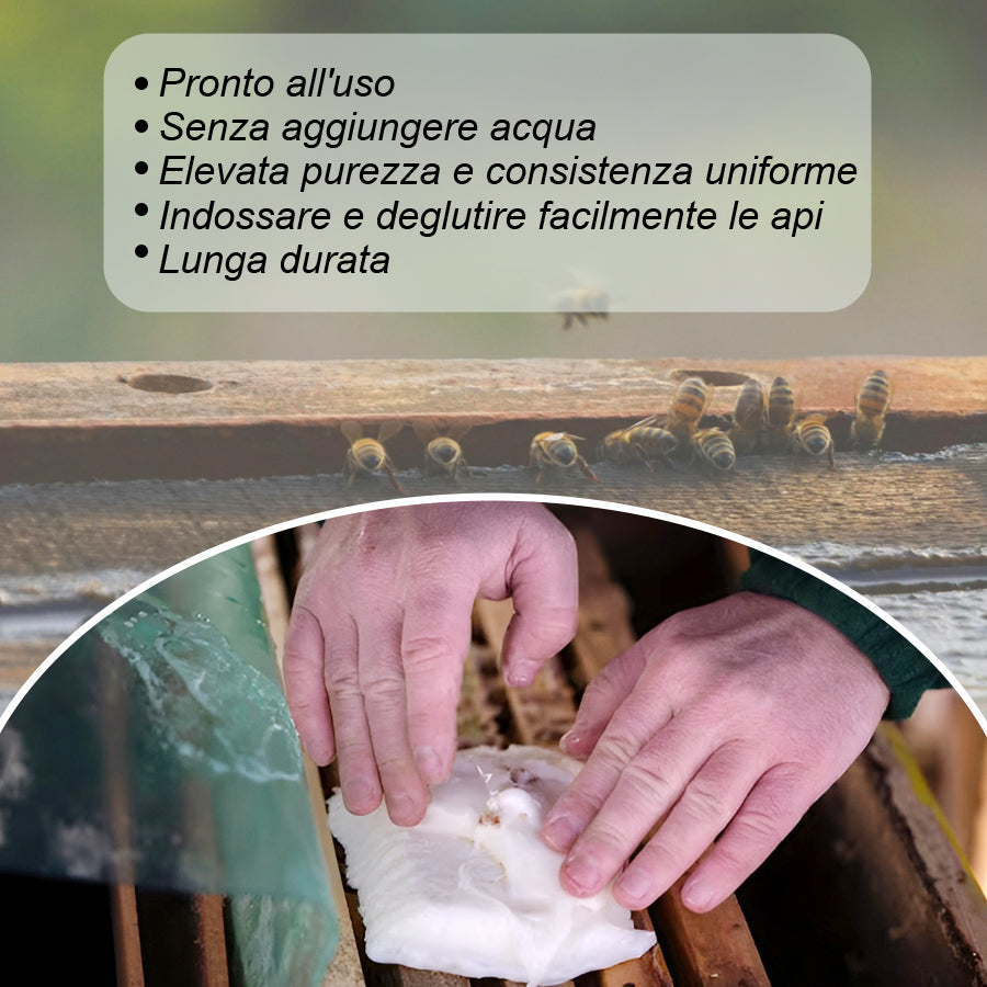 alimentazione colonie api