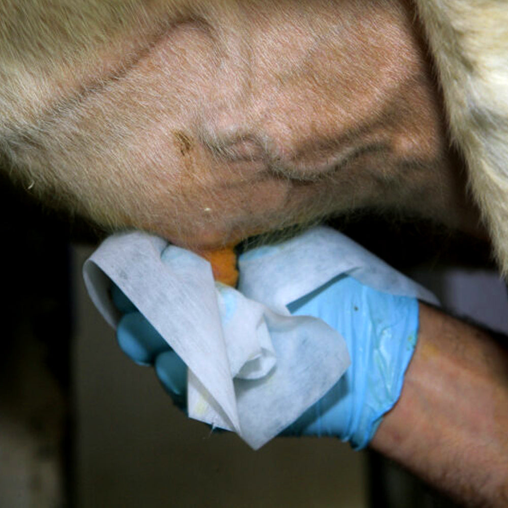 Prodotto per la cura della mammella Tiroler Olio di Roccia 500ml