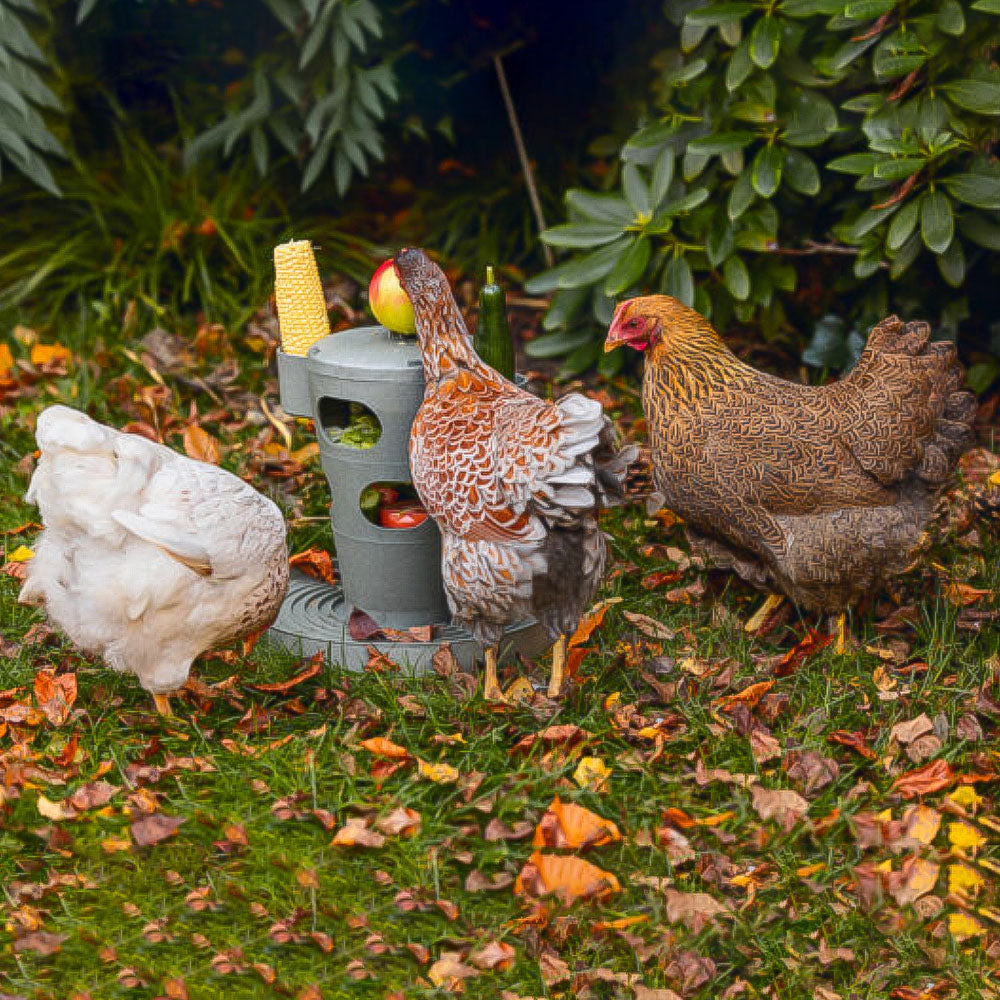 Snack per Pollame Ecologico / Tour Alimentare – Materiale 100% Riciclato