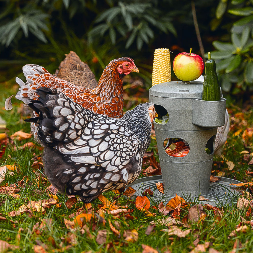 Snack per Pollame Ecologico / Tour Alimentare – Materiale 100% Riciclato