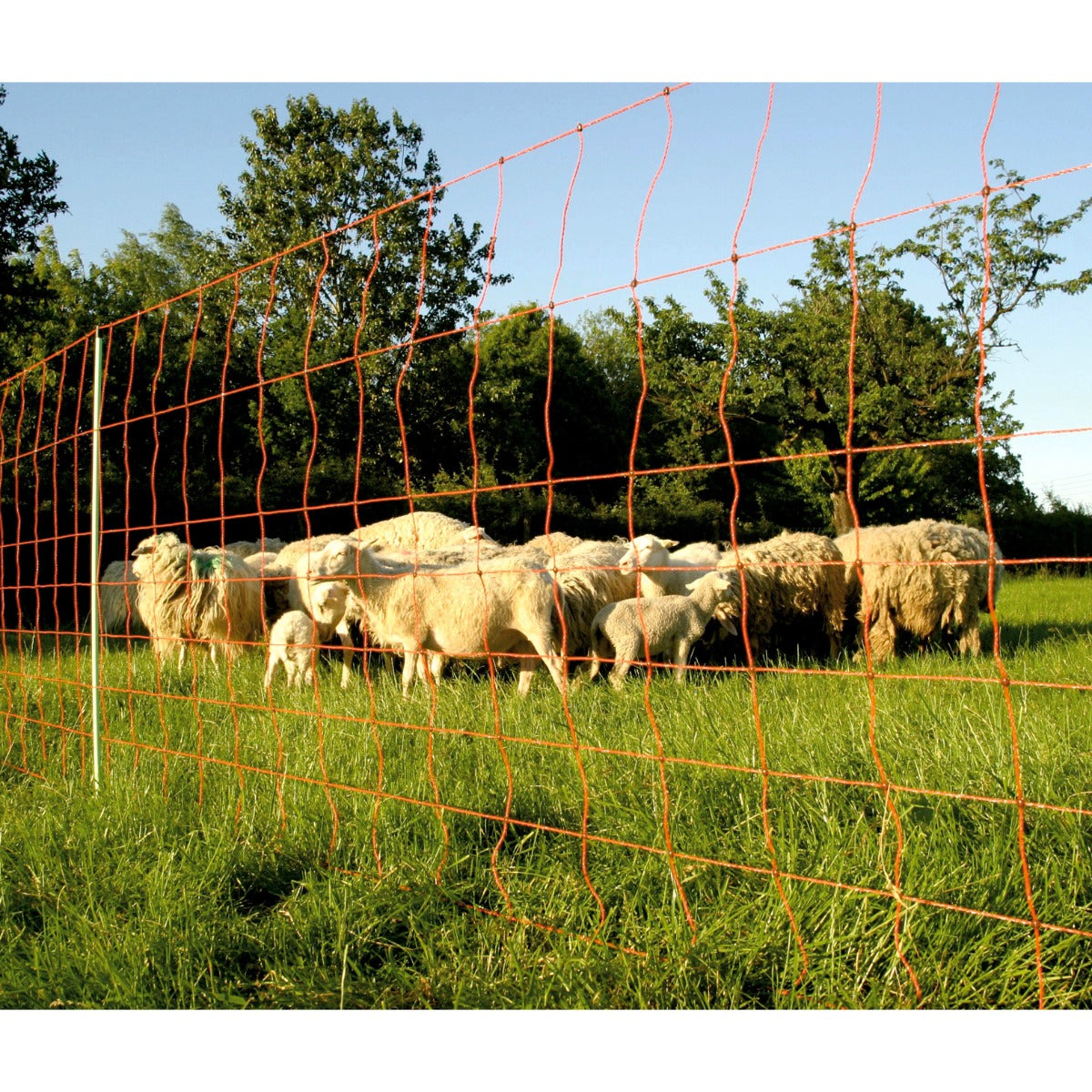 Recinzione Elettrica Euro-Netz Extra 90/1