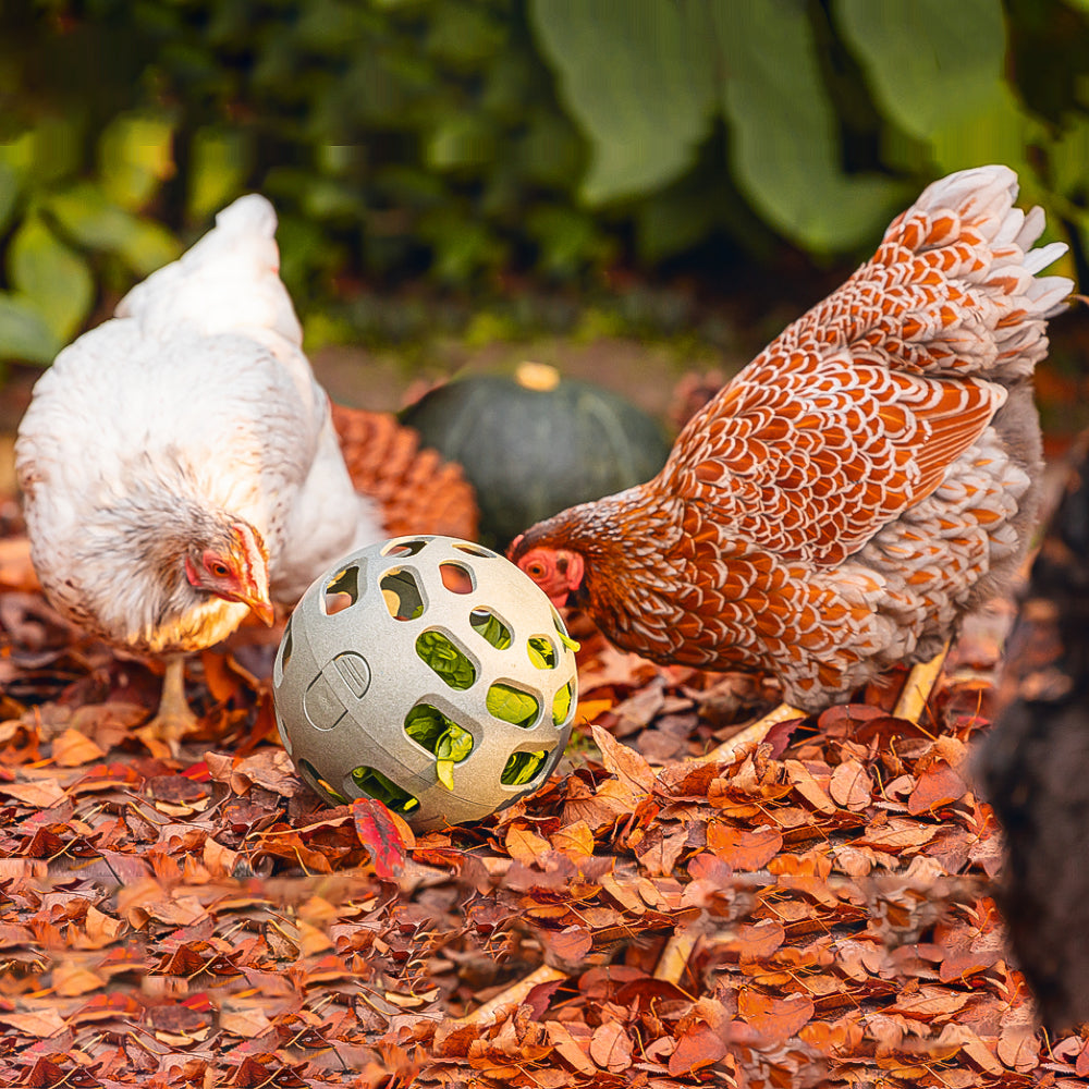 Palla Snack per Galline - 100% Plastica Riciclata | Ø 150mm | Ecologica