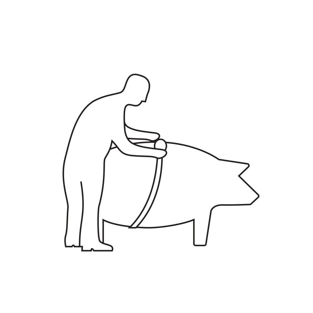 Animeter Nastro di misurazione per bestiame