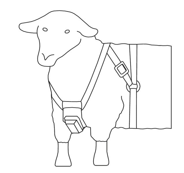 Imbracatura per pecore