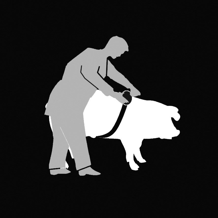 Animeter Nastro di misurazione per bestiame