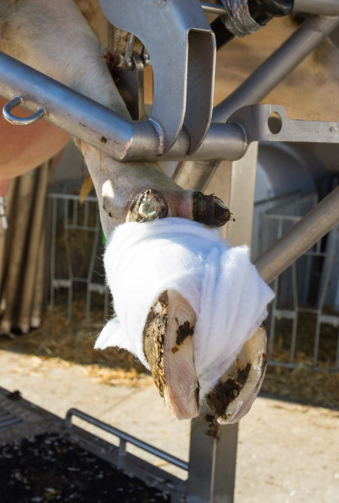 Rotolo di ovatta Rollino Benda sintetica per imbottitura e bendaggi