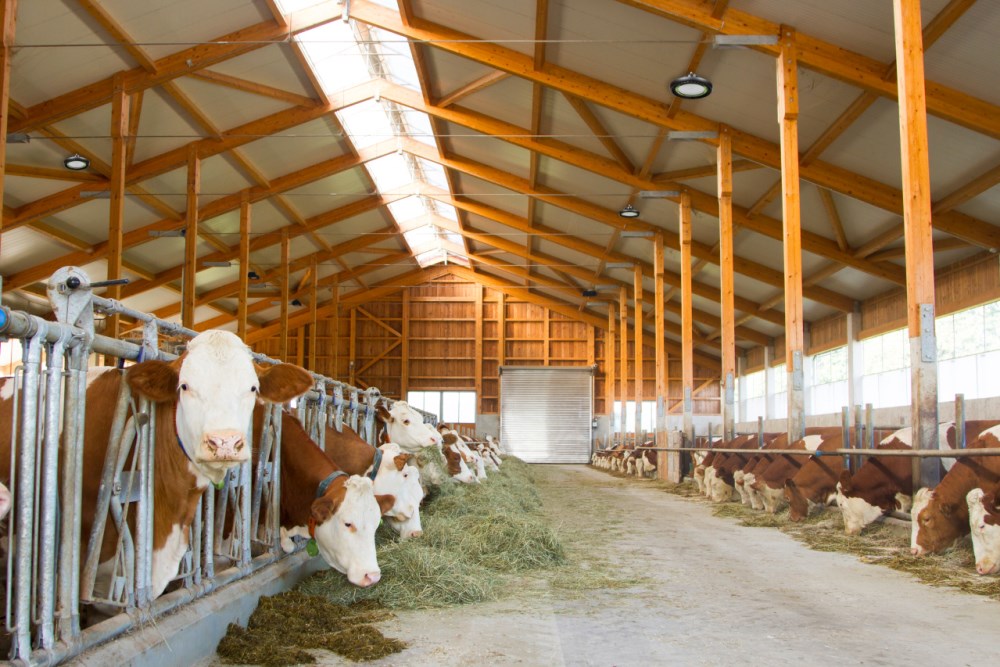 Proiettori LED per locali alti 240 W dimmerabile