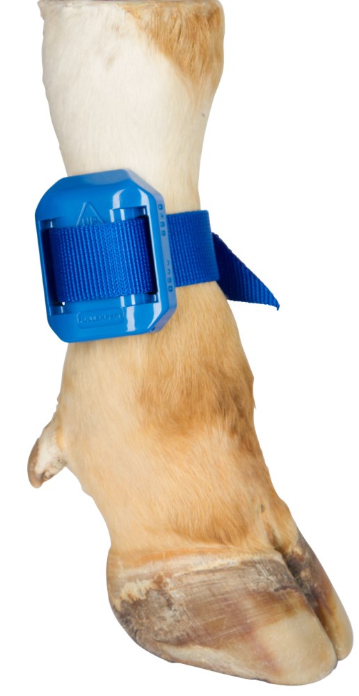 Fascia di marcatura per pedometro