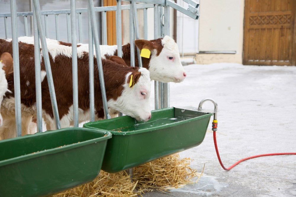 Mangiatoia in Plastica Lunga con Valvola a Galleggiante per Animali