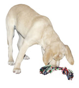 Hundeknoten: Langlebiges und lustiges Baumwollspielzeug für die Zahngesundheit