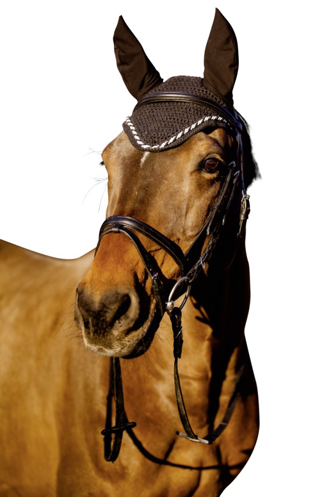 Cuffietta antimosche Classic per il Cavallo