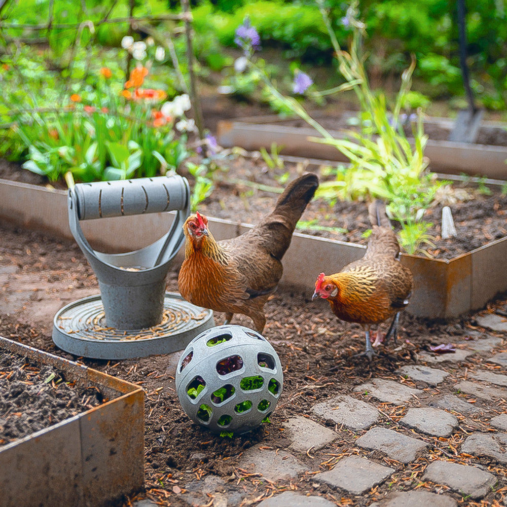 Palla Snack per Galline - 100% Plastica Riciclata | Ø 150mm | Ecologica