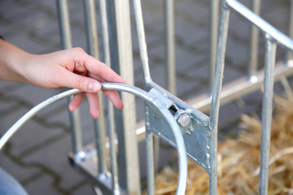 CalfHouse Master Plus senza Recinto per Vitelli