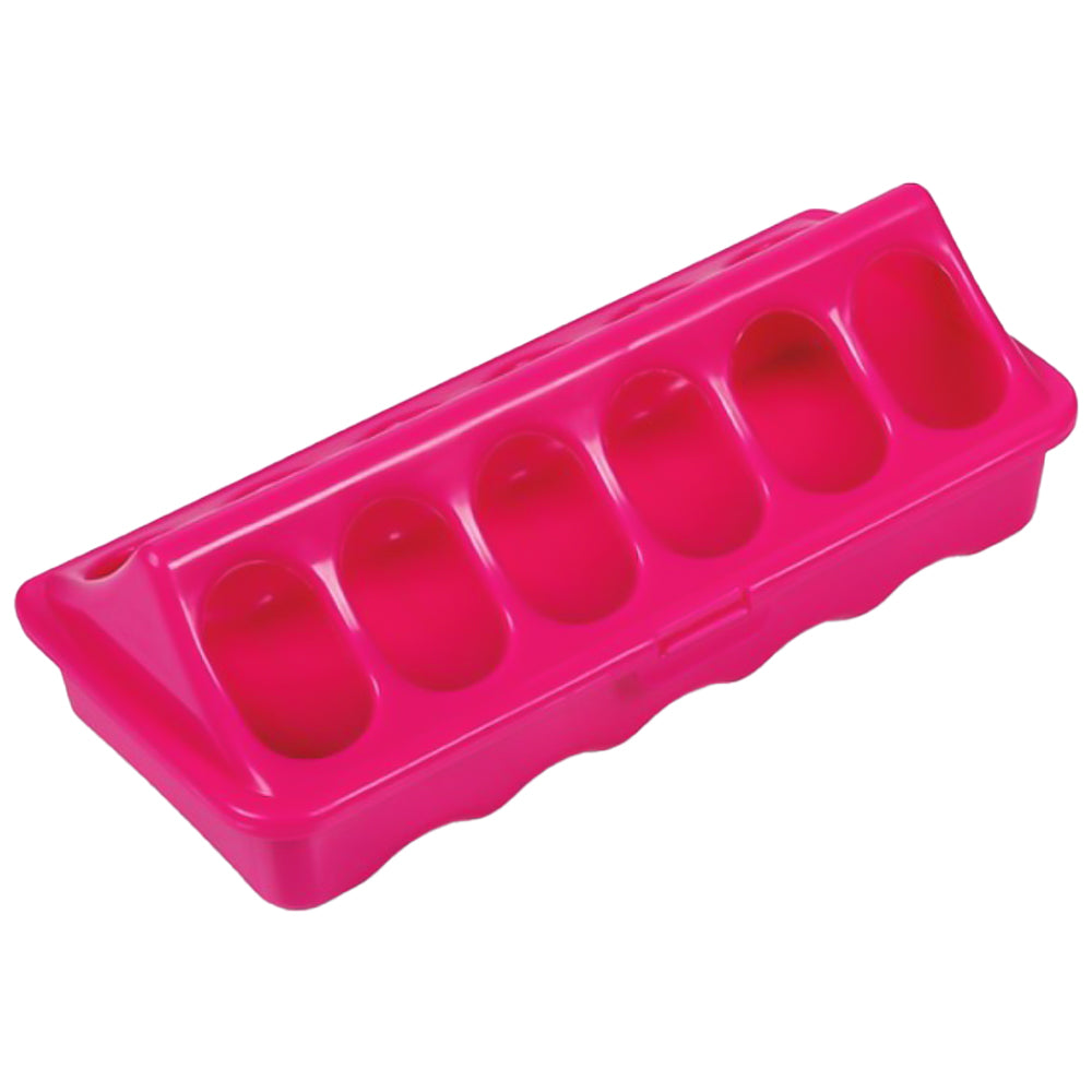 Alimentatore a Terra - 20 CM (Rosa) per Polli e Uccelli Piccoli