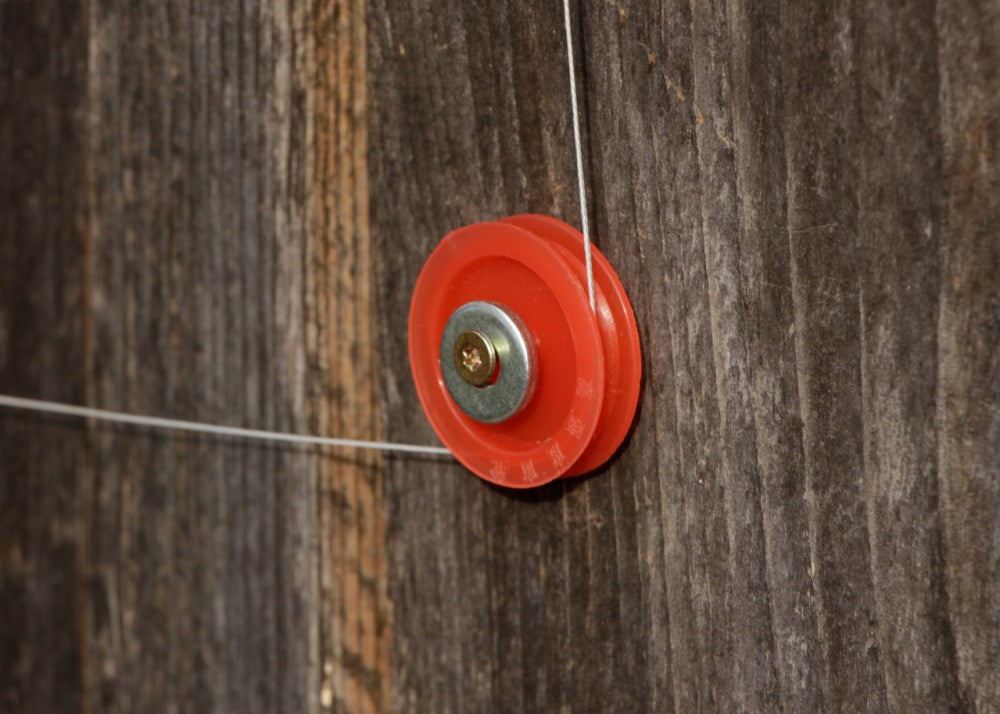 porta automatica pollaio