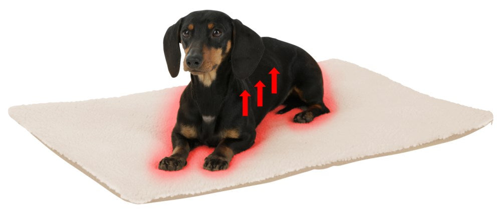 Cuscino da Pavimento Theo per Cani e Gatti