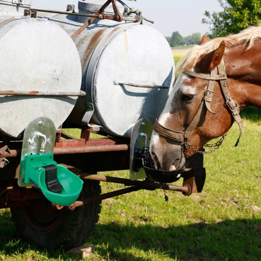 Abbeveratoio Bovini In Plastica Dura Resistente