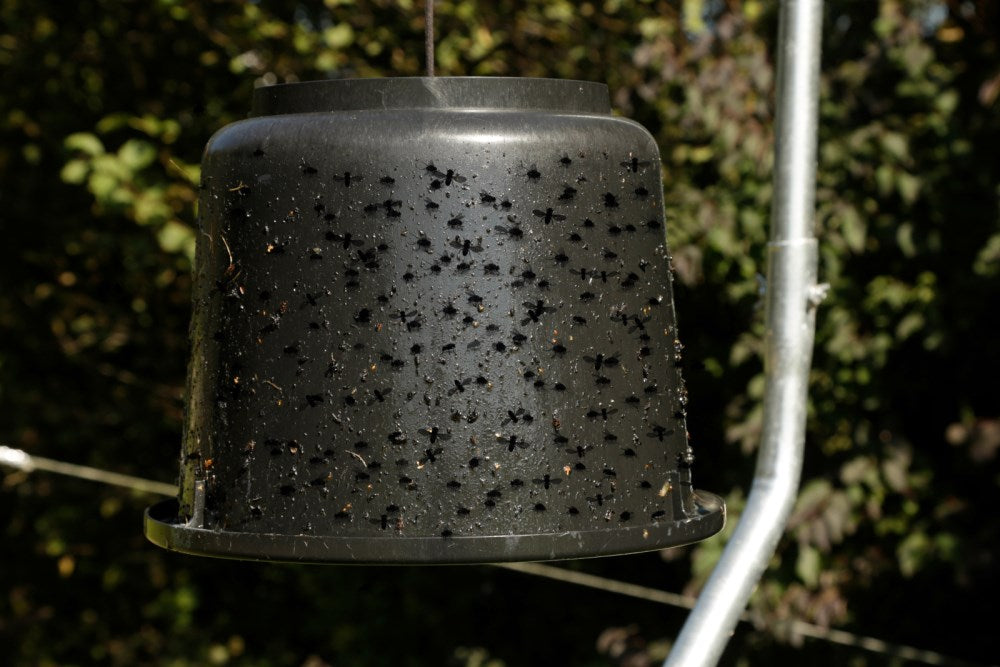 Secchio per colla per tafani con accessori per appendere