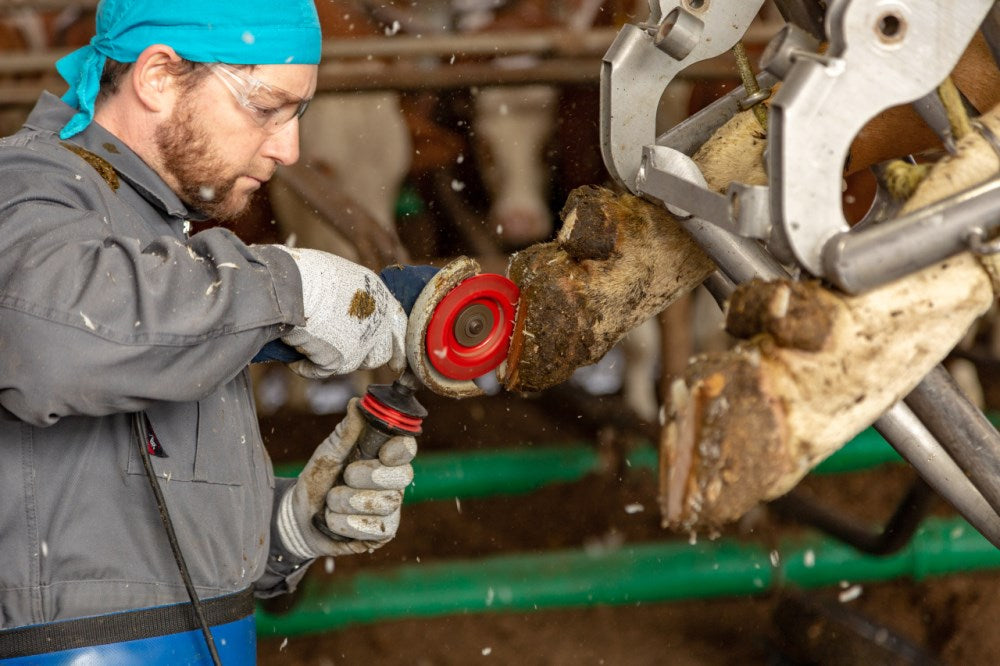 disco fresatore professionale