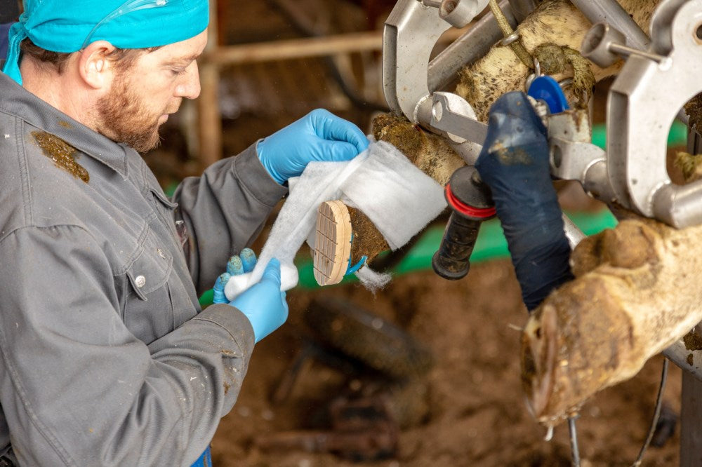 Rotolo di ovatta Rollino Benda sintetica per imbottitura e bendaggi