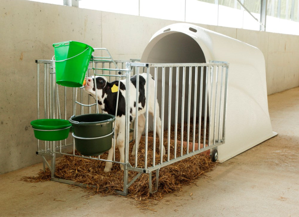 CalfHouse Master Plus senza Recinto per Vitelli
