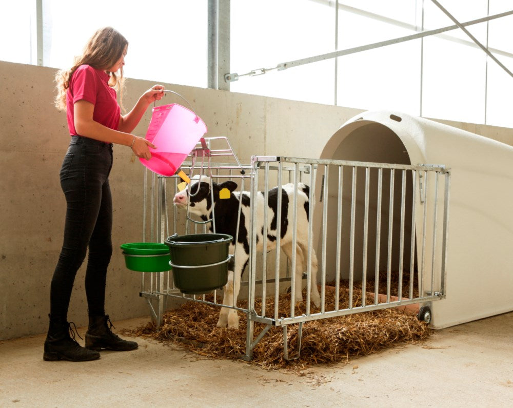 CalfHouse Master Plus senza Recinto per Vitelli