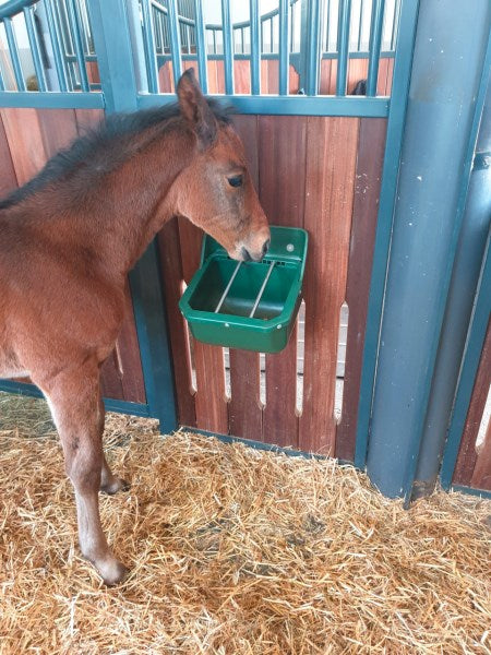 Mangatoia per Cavalli e Puledri con Barre in Metallo