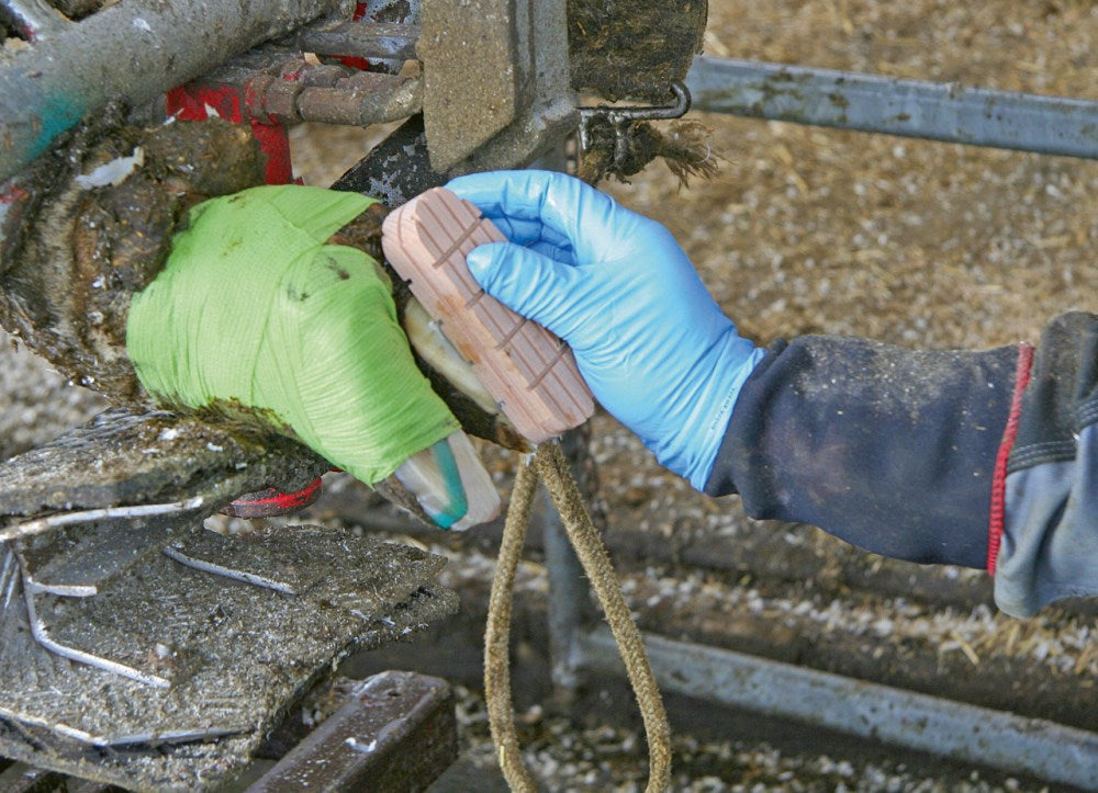 Technovit®-2-Bond - Colla Poliuretanica Rapida per Cura Zoccoli