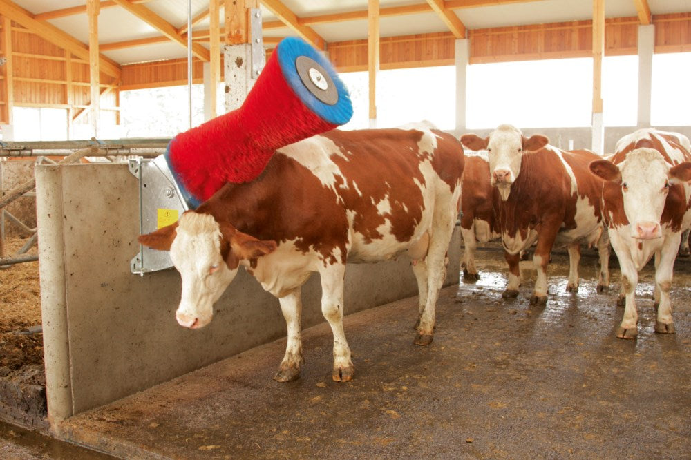 Spazzola per Bovini HAPPYCOW Uno con Setole in PP