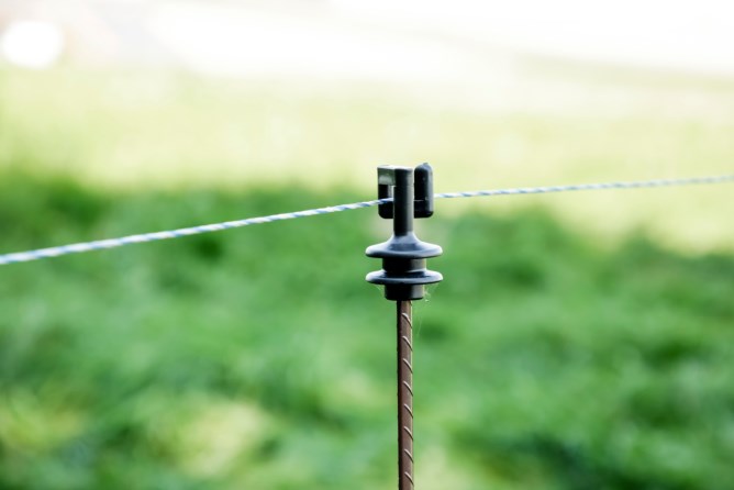 Paletto in Acciaio Armonico con Isolatore e Pedale