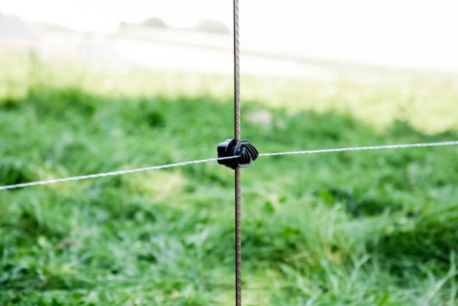 Paletto in Acciaio Armonico con Isolatore e Pedale