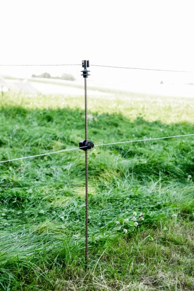 Paletto in Acciaio Armonico con Isolatore e Pedale