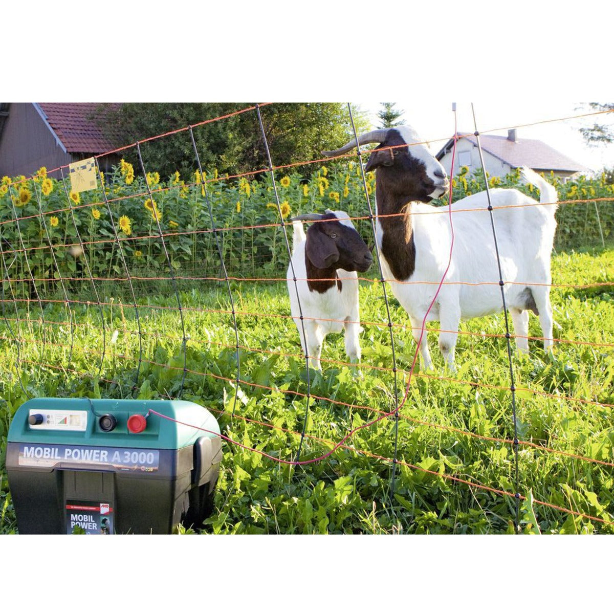 Rete Elettrica per Pecore TitanNet