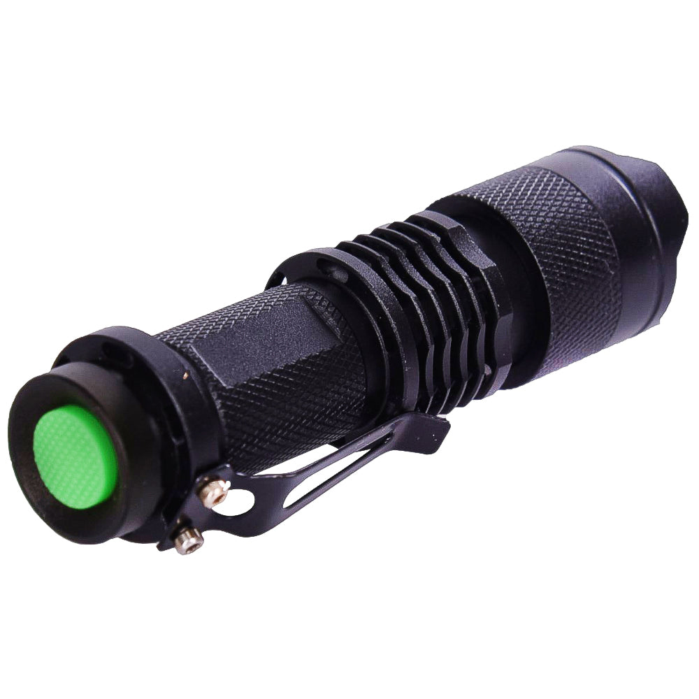 Lampada LED Sperauova per Monitorare lo Sviluppo degli Embrioni nelle Uova