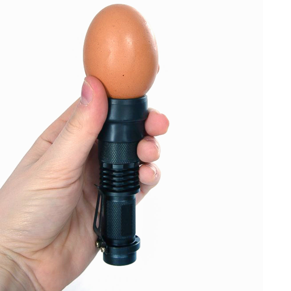 Lampada LED Sperauova per Monitorare lo Sviluppo degli Embrioni nelle Uova