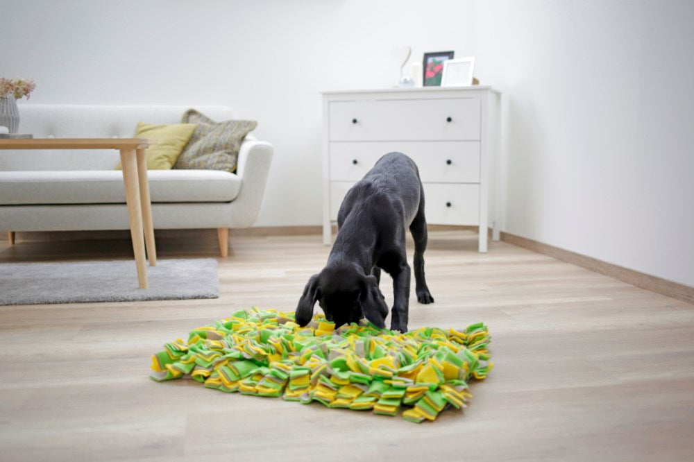 Schnüffelteppich für Hunde