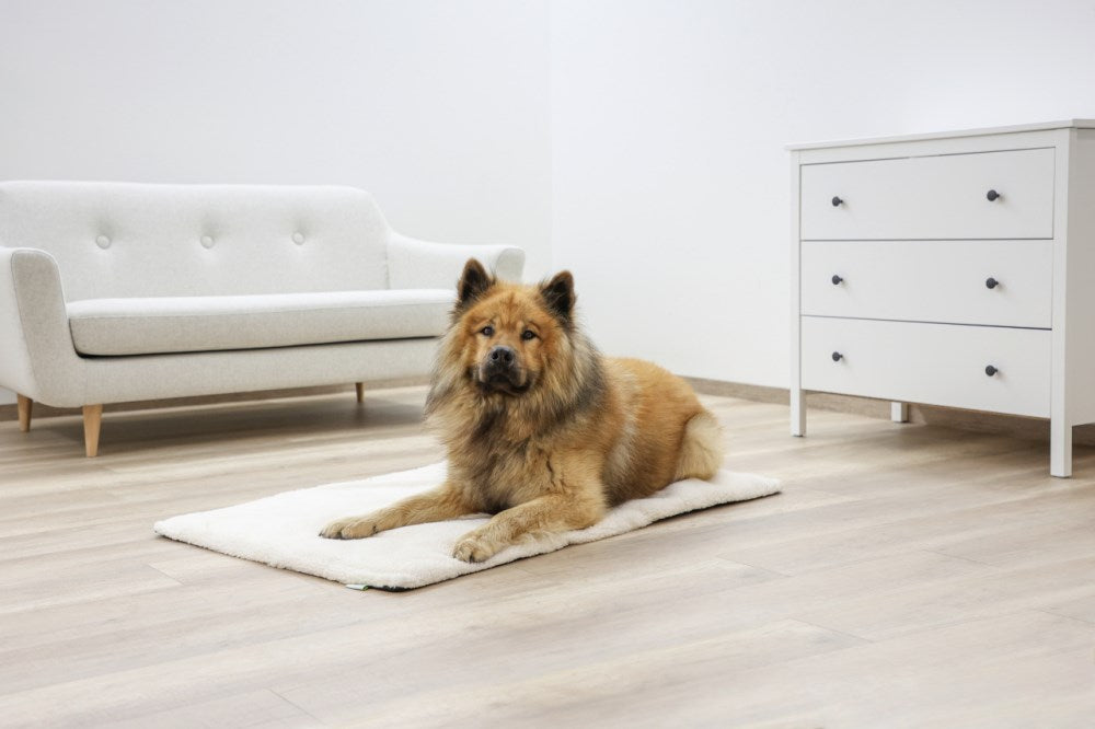 Cuscino da Pavimento Theo per Cani e Gatti