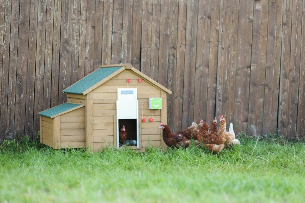 Apriporta automatico per pollame