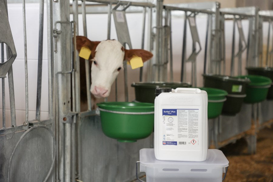 Mangime complementare Concentrato liquido Surlac Plus - 1lt, 5lt