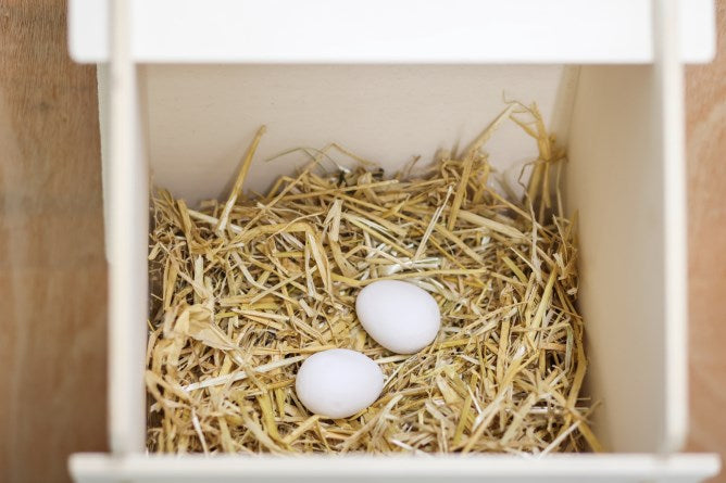 Nidiandolo - uova finte in ceramica