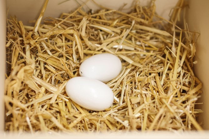 Nidiandolo - uova finte in ceramica